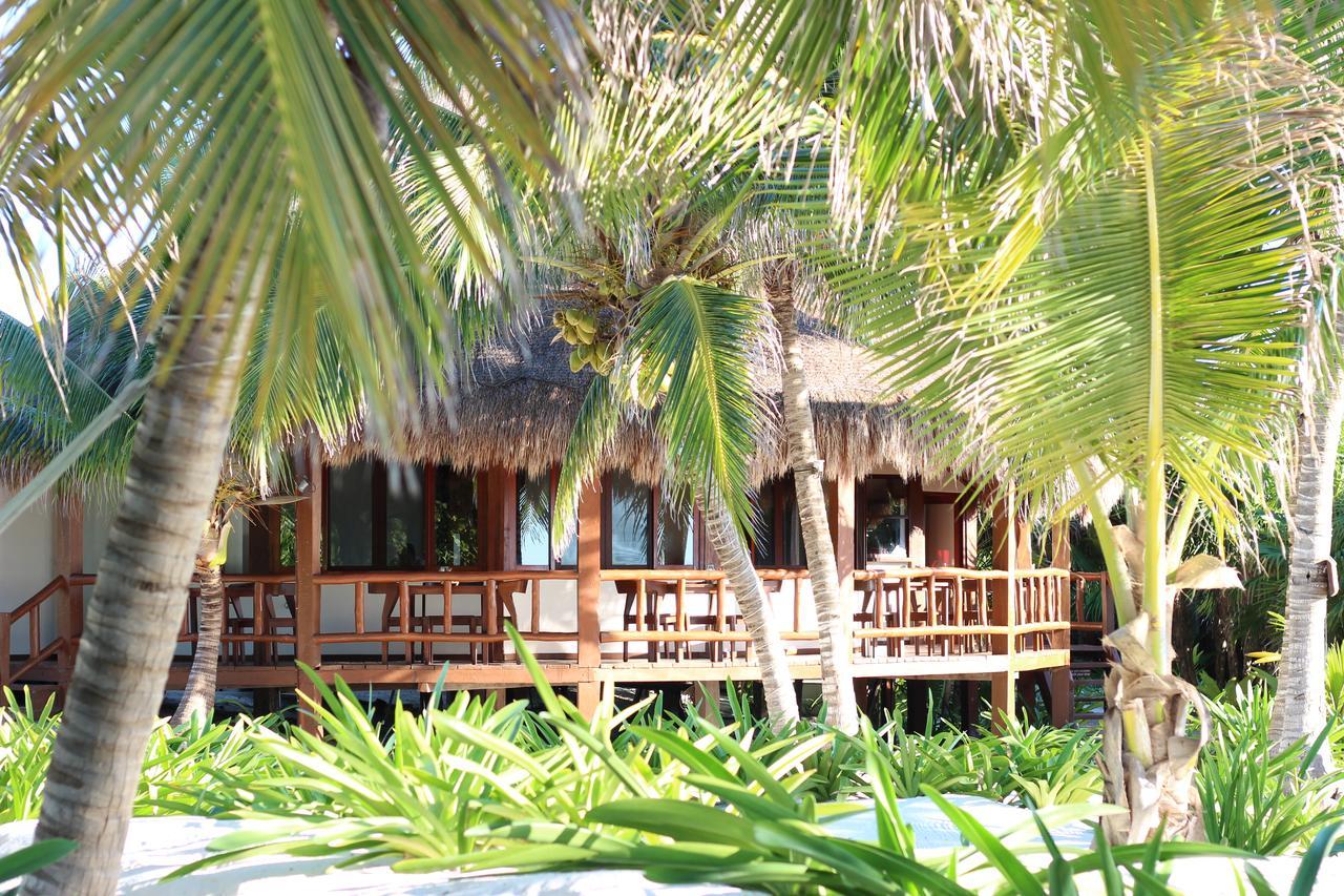Casa Chable Hotel ปุนตา อัลเลน ภายนอก รูปภาพ