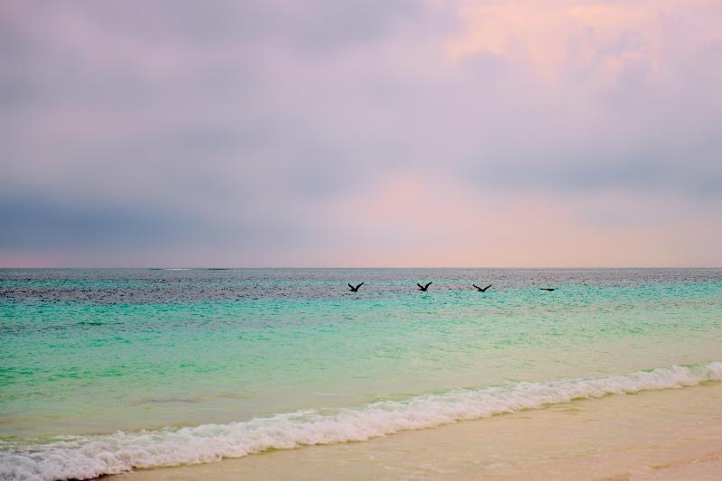 Casa Chable Hotel ปุนตา อัลเลน ภายนอก รูปภาพ